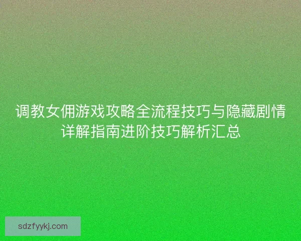 调教女佣游戏攻略全流程技巧与隐藏剧情详解指南进阶技巧解析汇总