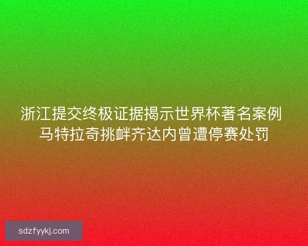 浙江提交终极证据揭示世界杯著名案例 马特拉奇挑衅齐达内曾遭停赛处罚 浙江提交终极证据揭示世界杯著名案例 马特拉奇挑衅齐达内曾遭停赛处罚