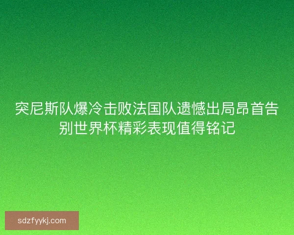 突尼斯队爆冷击败法国队遗憾出局昂首告别世界杯精彩表现值得铭记 突尼斯队爆冷击败法国队遗憾出局昂首告别世界杯精彩表现值得铭记